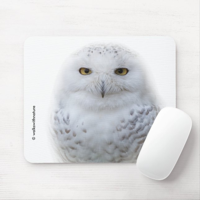 Schönes, traumhaftes und serenschneesicheres Owl Mousepad (Mit Mouse)