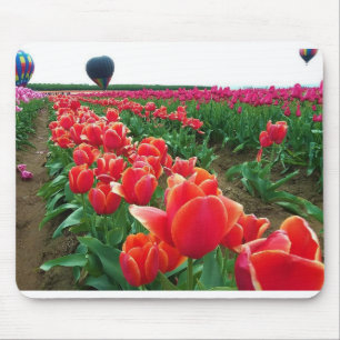 Schönes Tulip-Feld mit Heißluftballons Mousepad