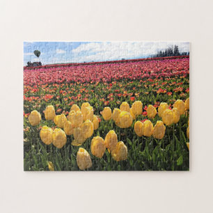 Schönes Tulip Field mit Heißluftballon, Oregon