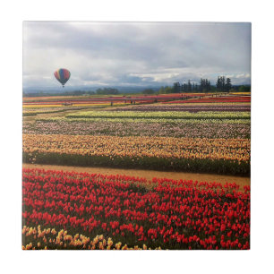Schönes Tulip Field mit Heißluftballon, Oregon Fliese