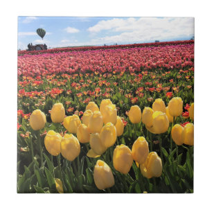 Schönes Tulip Field mit Heißluftballon, Oregon Fliese