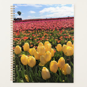 Schönes Tulip Field mit Heißluftballon, Oregon Planer
