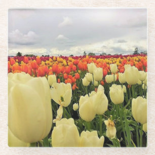 Schönes Tulip Field, Oregon Glasuntersetzer
