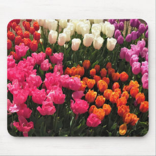 Schönes Tulip Garden Bed. Oregon Mousepad