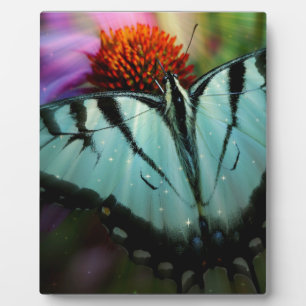 Schönes türkisfarbenes Frack Butterfly Fotoplatte