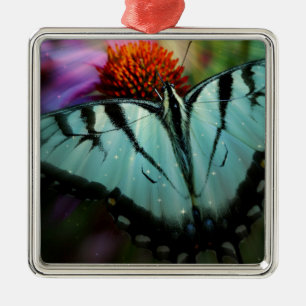 Schönes türkisfarbenes Frack Butterfly Silbernes Ornament