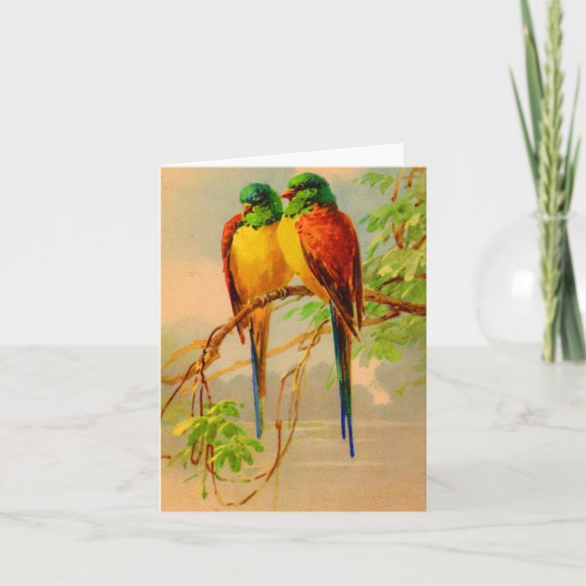 schönes Vogelbild (Vorderseite)