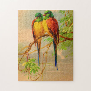 schönes Vogelbild