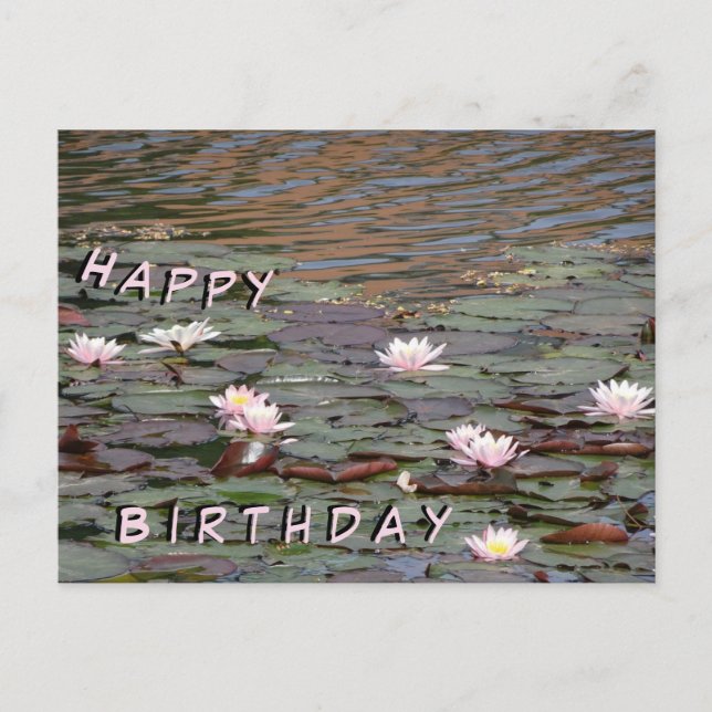 Schönes Wasser Lilies Happy Birthday Postcard Postkarte (Vorderseite)
