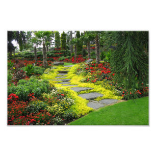 Schönes Weg-Park-Foto Fotodruck