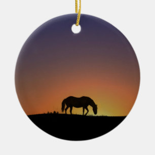 Schönes Weihnachtsschmuck im Südwesten