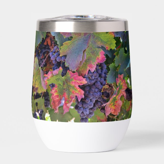 Schönes Weinglas mit Weintrauben (Vorderseite)