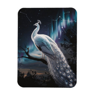 Schönes Weiß Pfau Aurora Borealis Landschaftlich Magnet