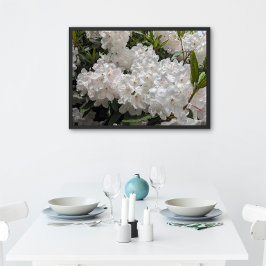 Schönes Weiß Rhododendron Blooms Bloral Poster