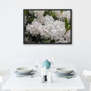 Schönes Weiß Rhododendron Blooms Bloral Poster