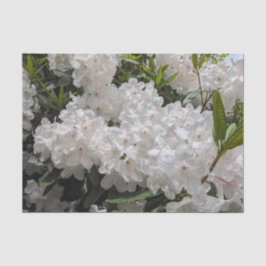 Schönes Weiß Rhododendron Blooms Bloral Seidenpapier