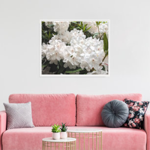 Schönes Weiß Rhododendron Floral Leinwanddruck