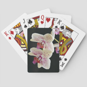 Schönes Weiß & Rosa Orchid mit schwarzem Hintergru Spielkarten