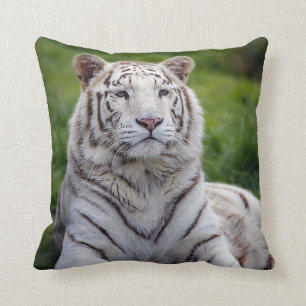 Schönes Weiß-Tiger-Foto Kissen