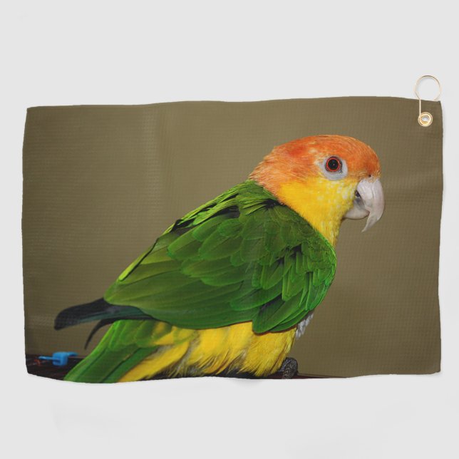 Schönes weißes Bündchen Kaique Parrot Posing Golfhandtuch (Horizontal)