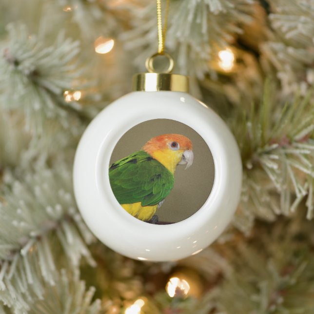 Schönes weißes Bündchen Kaique Parrot Posing Keramik Kugel-Ornament (Baum)