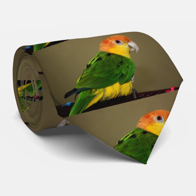 Schönes weißes Bündchen Kaique Parrot Posing Krawatte (Gerollt)