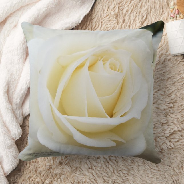 Schönes, weißes Foto aus weißer Rose Polyester Kissen (Decke)