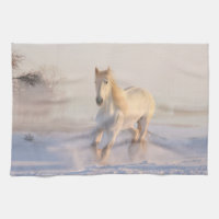 Schönes Weißes Pferd Galloping im Schnee