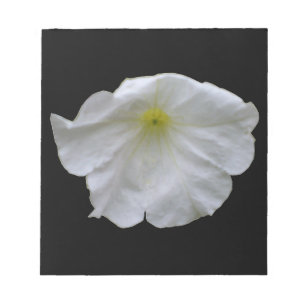Schönes White Petunia Notepad Notizblock