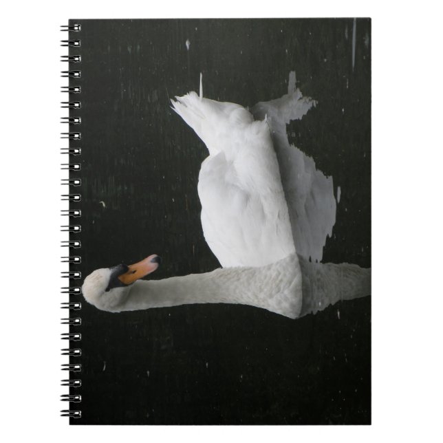Schönes White Swan-Notebook Notizblock (Vorderseite)