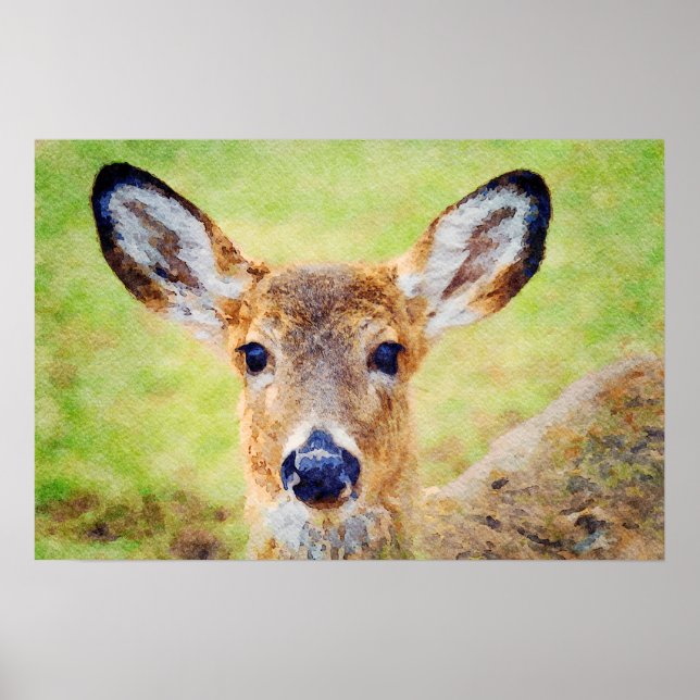 Schönes Whitetail Hirschkopf Aquarellmalerei Poster (Vorne)