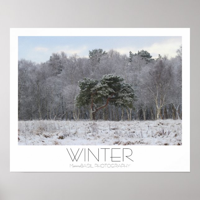 Schönes Winterposter! Poster (Vorne)