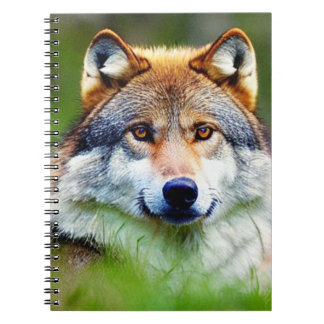 Schönes Wolfskopfbild Notizblock