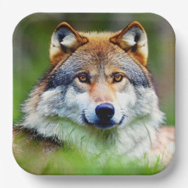 Schönes Wolfskopfbild Pappteller