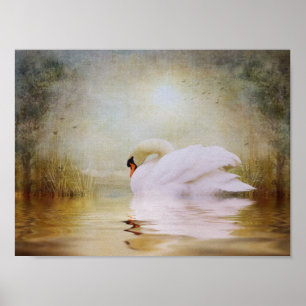 Schongebiet innen poster