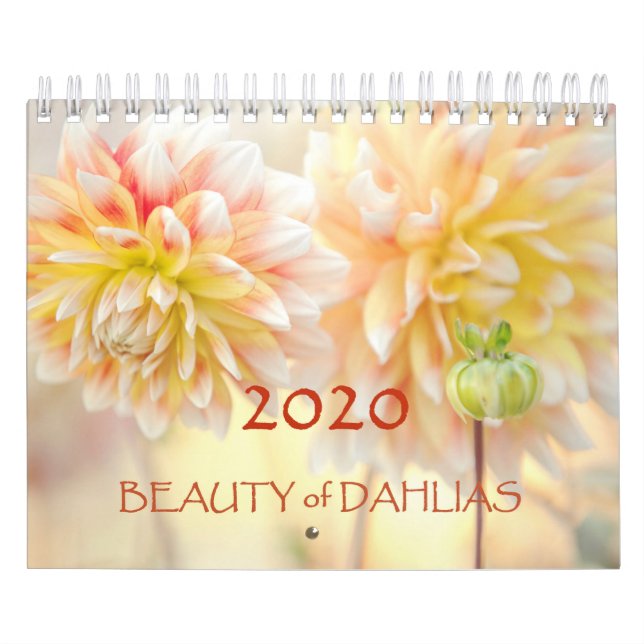 Schönheit der Dahlias-Blume 2020 Kalender (Titelbild)