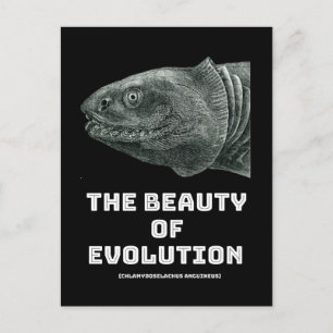 Schönheit der Evolution Postkarte