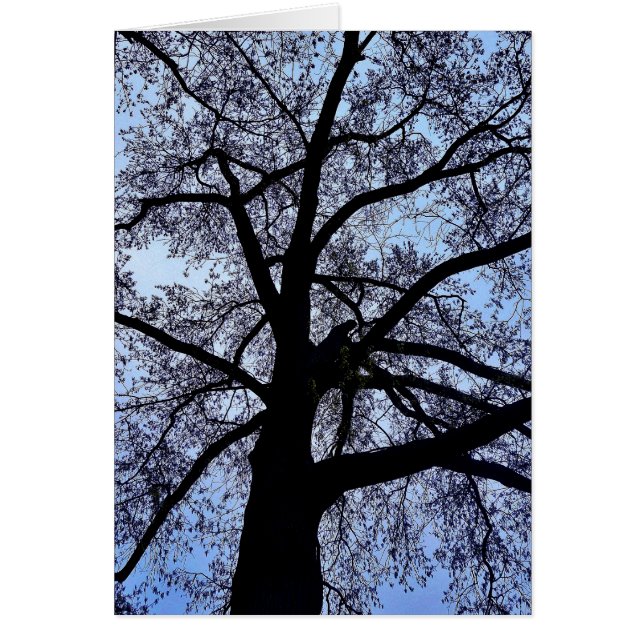 Schönheit der Natur (Vorne)