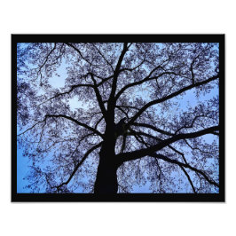 Schönheit der Natur Fotodruck