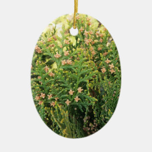 Schönheit der Natur: Jungbaum Keramik Ornament
