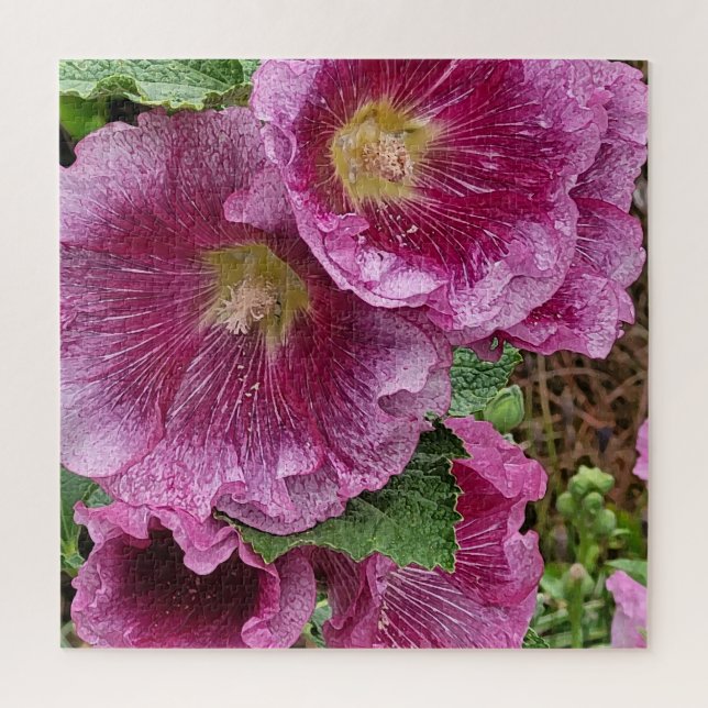 Schönheit der rosa Hollyhock (Vertikal)
