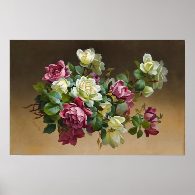 Schönheit der Rose Poster (Vorne)