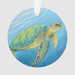 Schönheit der Schildkröte Ornament