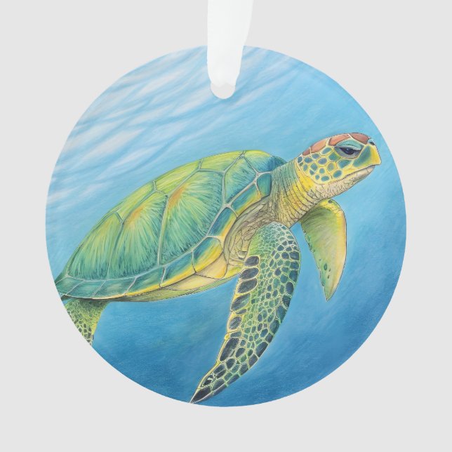 Schönheit der Schildkröte Ornament (Vorderseite)