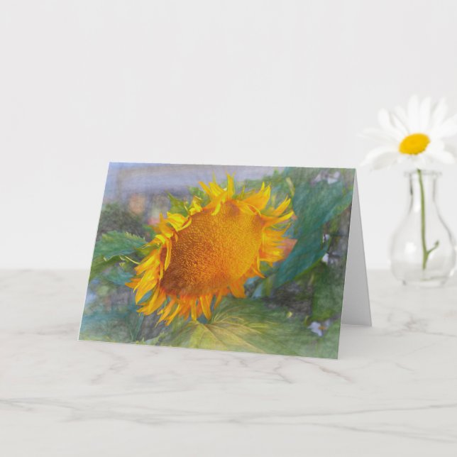 Schönheit der Sonnenblumen Karte (Kleine Pflanze)