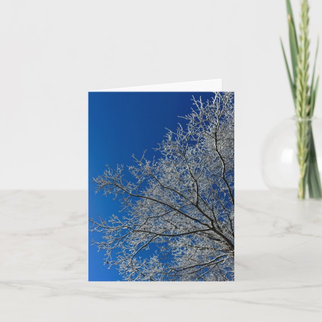 Schönheit der Wintergrußkarte Feiertagskarte (Vorderseite)