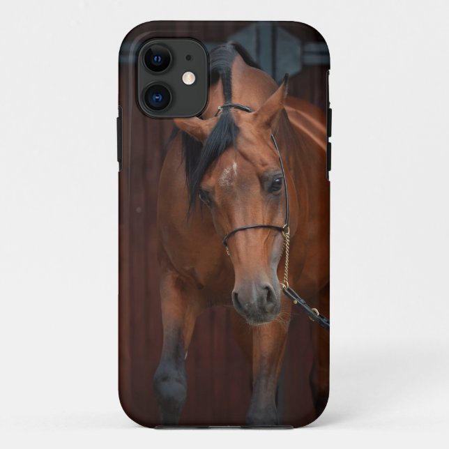 Schönheit des arabischen Pferdes. Bucht Case-Mate iPhone Hülle (Rückseite)
