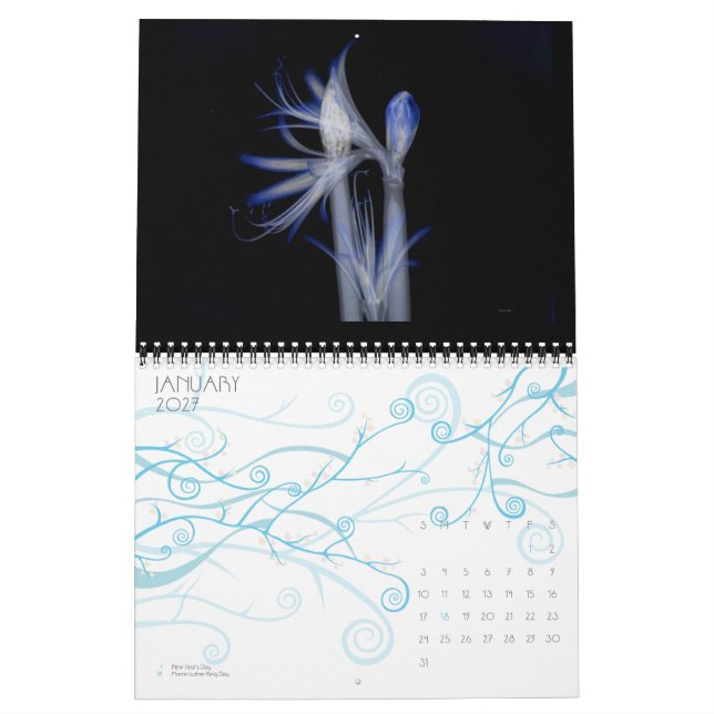 Schönheit (eine Röntgenstrahlstudie der Blumen) Kalender (Jan 2027)