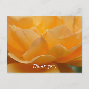 Schönheit einer Rose danke Ihnen Postkarte