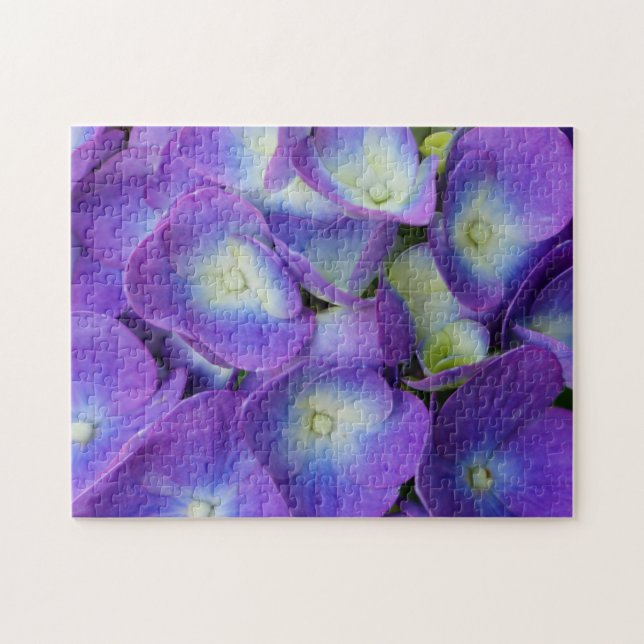 Schönheit eines blauen Hydrangeas (Horizontal)